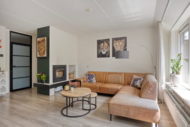 Foto 6 van Engelwortel 64