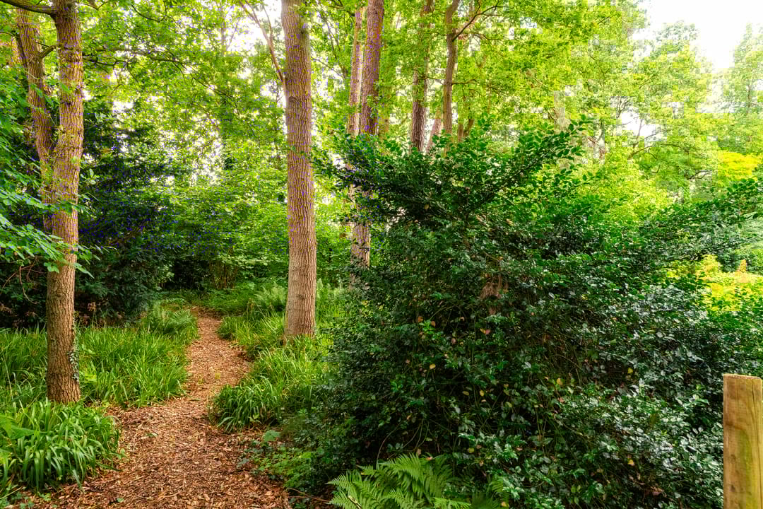 Foto 47 van Tullekenweg 12