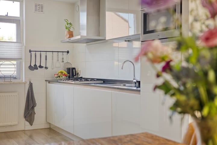 Foto 11 van Engelwortel 64