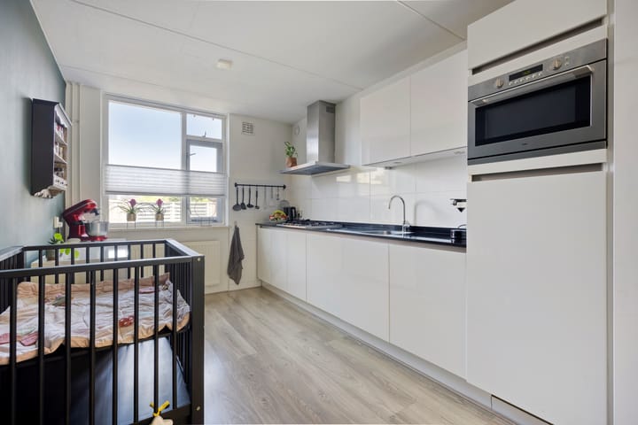 Foto 12 van Engelwortel 64