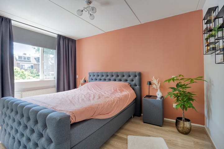 Foto 15 van Engelwortel 64