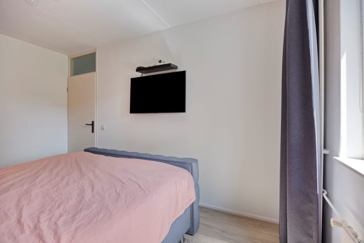 Foto 16 van Engelwortel 64