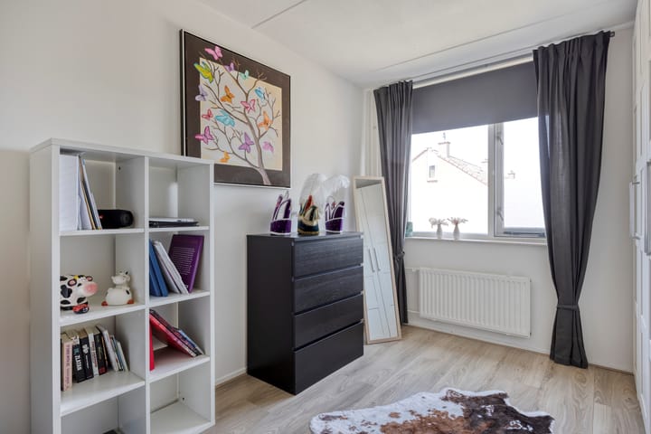 Foto 18 van Engelwortel 64