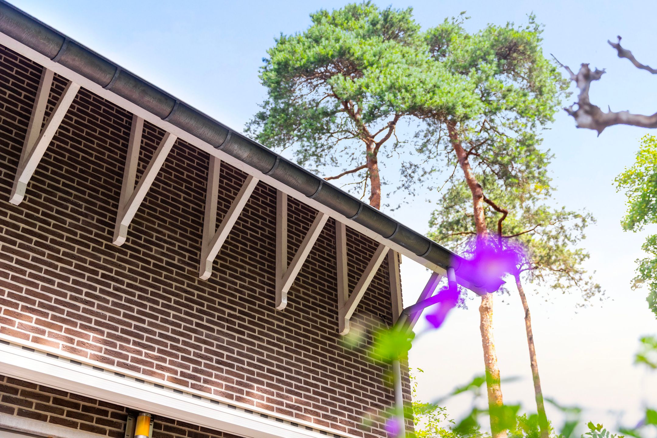 Foto 54 van Tullekenweg 12