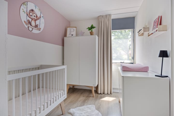 Foto 17 van Engelwortel 64