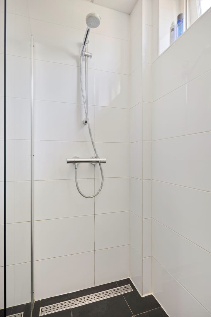 Foto 20 van Engelwortel 64