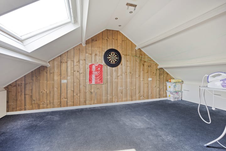 Foto 22 van Engelwortel 64