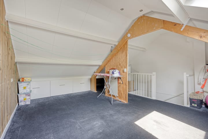 Foto 23 van Engelwortel 64