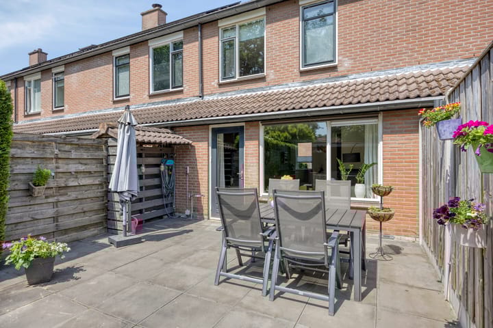 Foto 24 van Engelwortel 64