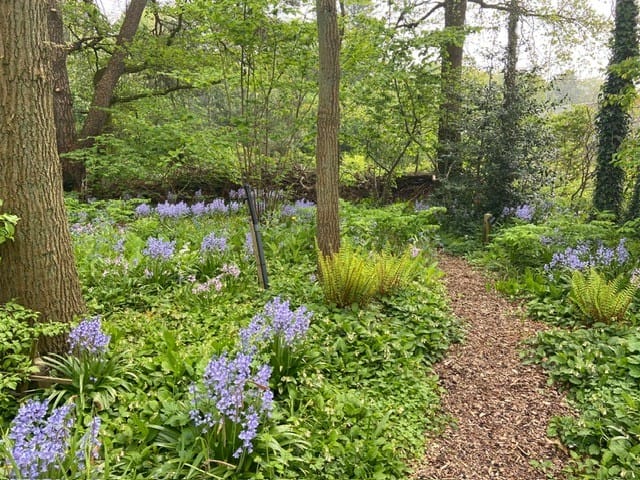 Foto 59 van Tullekenweg 12