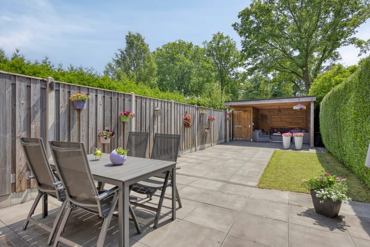 Foto 25 van Engelwortel 64