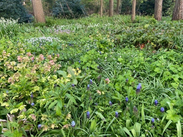 Foto 60 van Tullekenweg 12