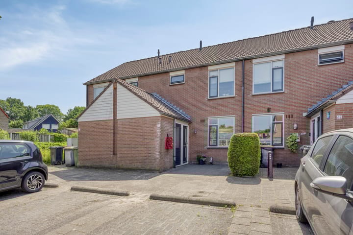 Foto 27 van Engelwortel 64