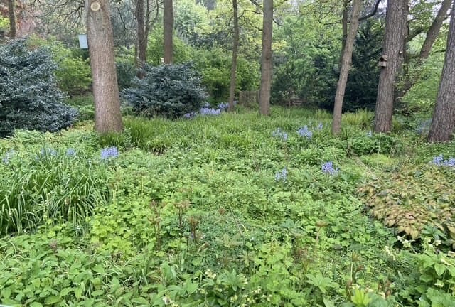 Foto 61 van Tullekenweg 12