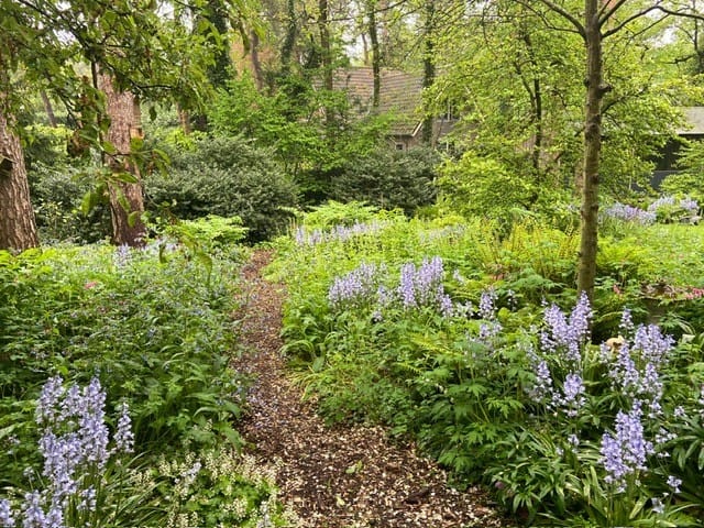 Foto 62 van Tullekenweg 12