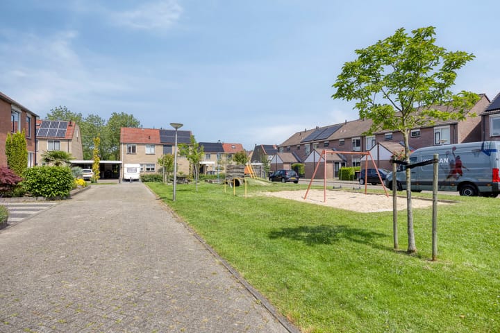 Foto 29 van Engelwortel 64