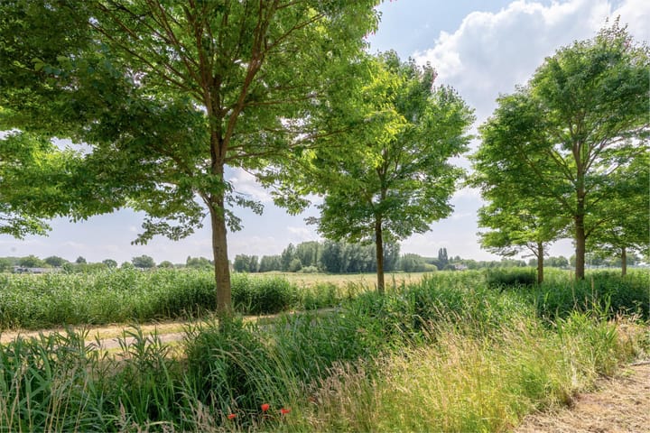 Foto 33 van Iepenlaan 25