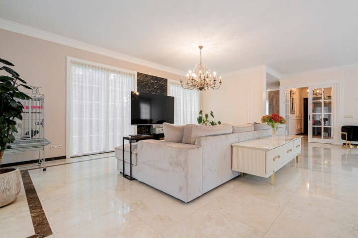 Photo 10 of Engelwortel 10