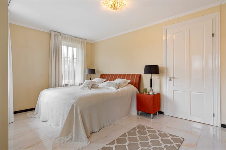 Photo 31 of Engelwortel 10