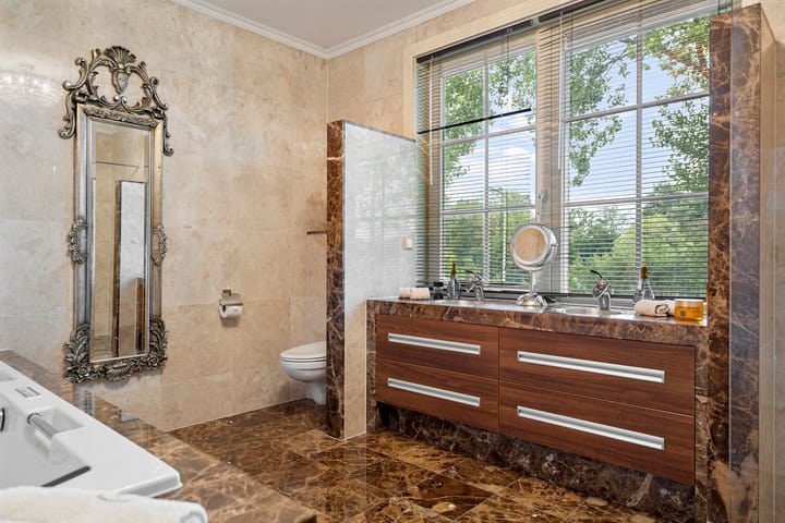 Photo 44 of Engelwortel 10