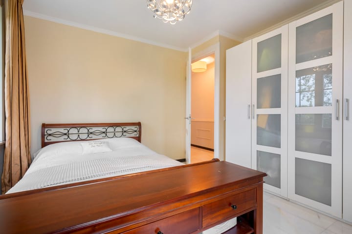 Photo 48 of Engelwortel 10