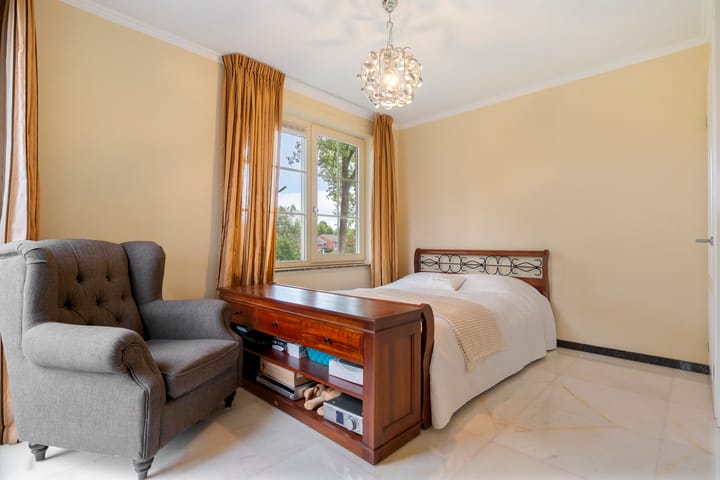 Photo 49 of Engelwortel 10