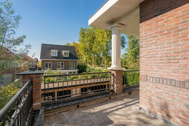 Photo 55 of Engelwortel 10