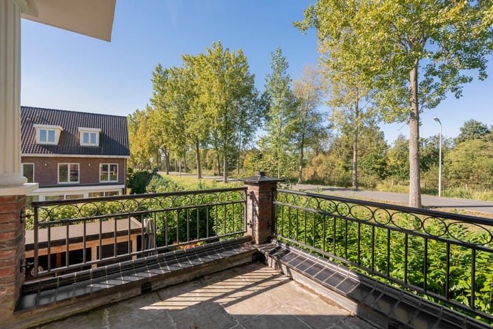 Photo 56 of Engelwortel 10