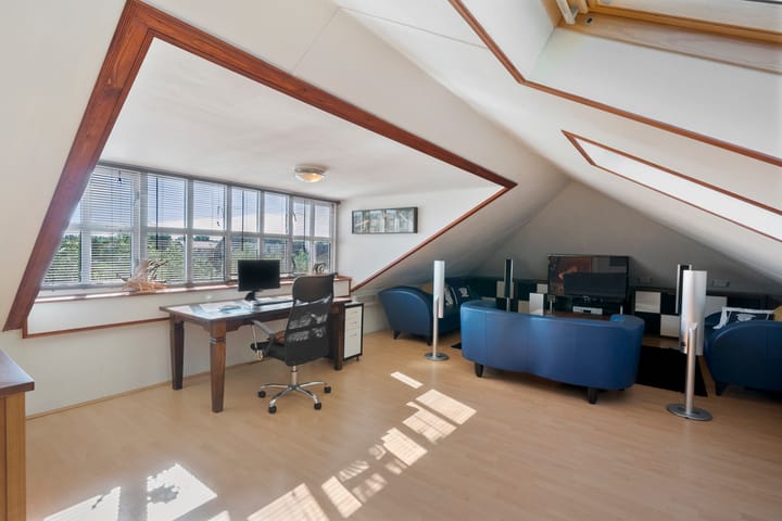 Photo 59 of Engelwortel 10