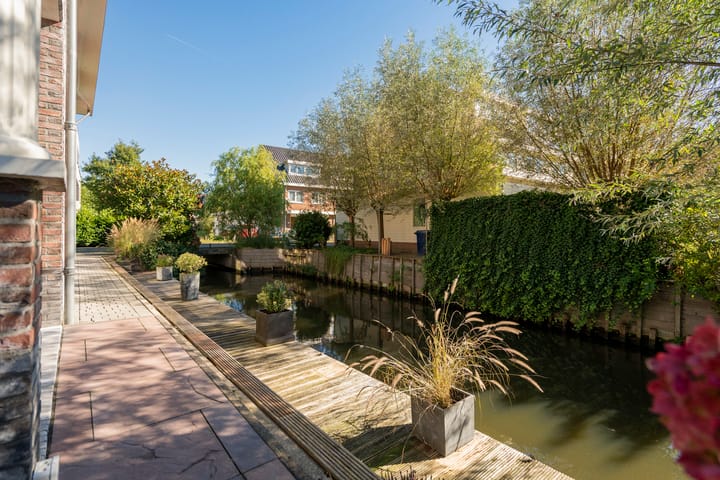 Photo 68 of Engelwortel 10