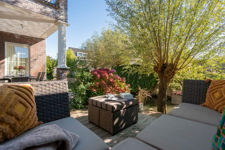 Photo 69 of Engelwortel 10