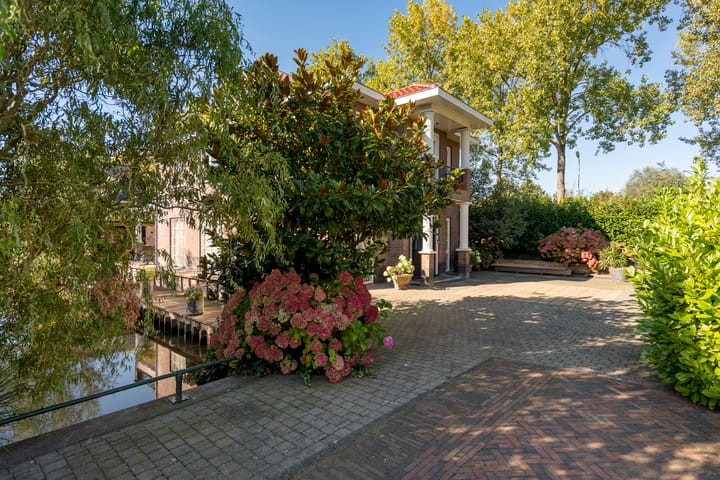 Photo 74 of Engelwortel 10