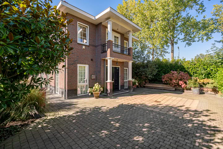 Photo 76 of Engelwortel 10