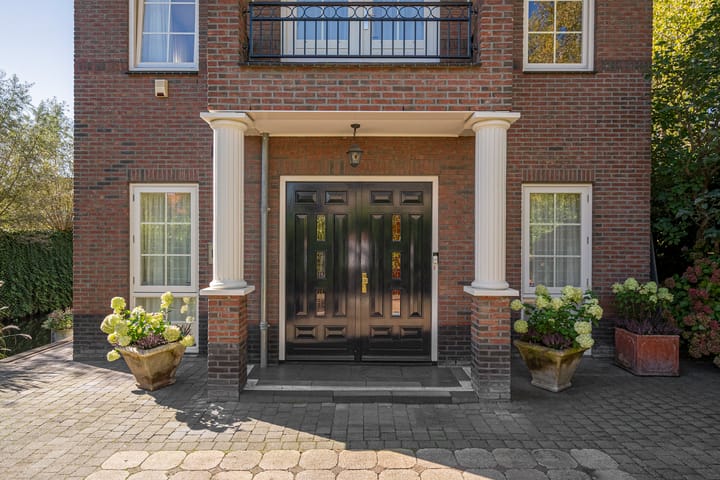 Photo 77 of Engelwortel 10