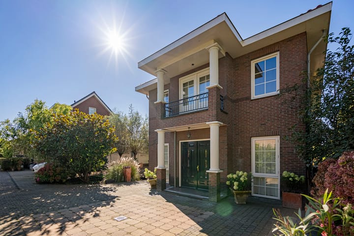 Photo 79 of Engelwortel 10