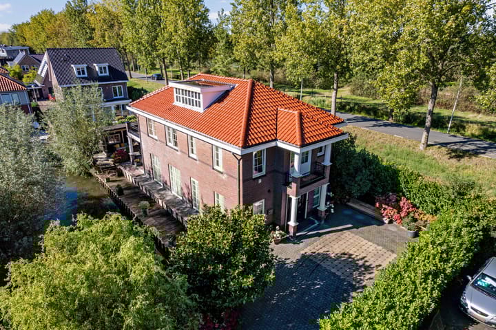 Photo 81 of Engelwortel 10