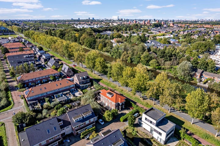 Photo 82 of Engelwortel 10