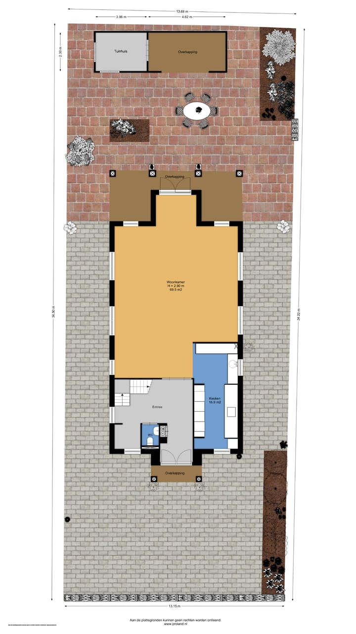 Photo 84 of Engelwortel 10