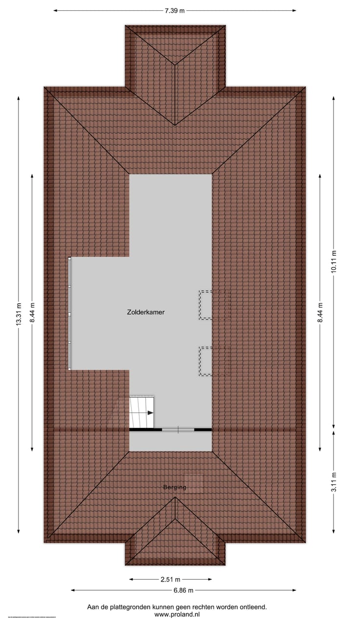 Photo 87 of Engelwortel 10