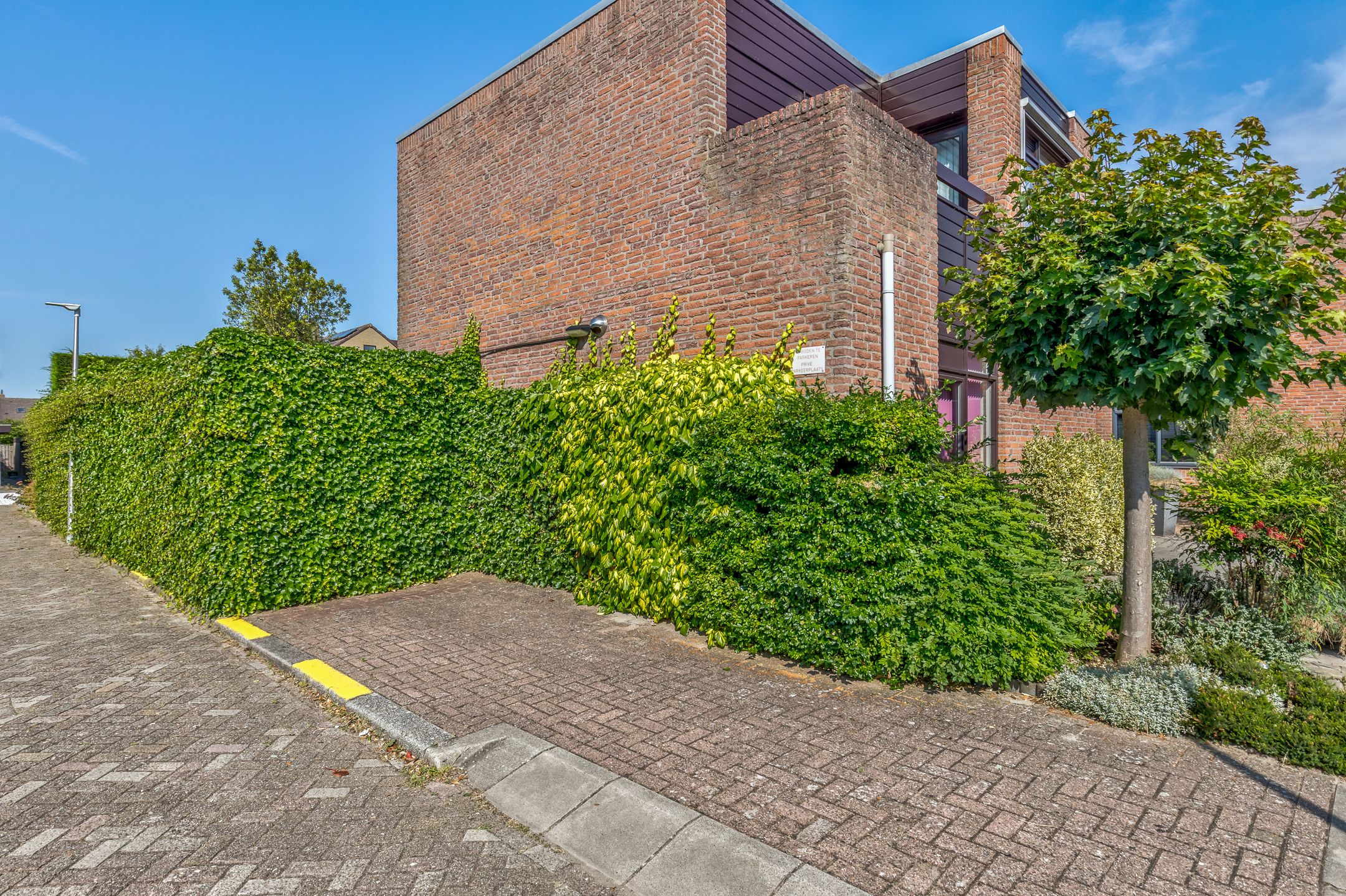 Photo 33 of Sauerdal 1