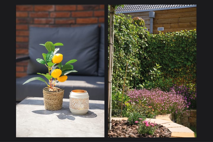 Photo 34 of Lisdoddestraat 64