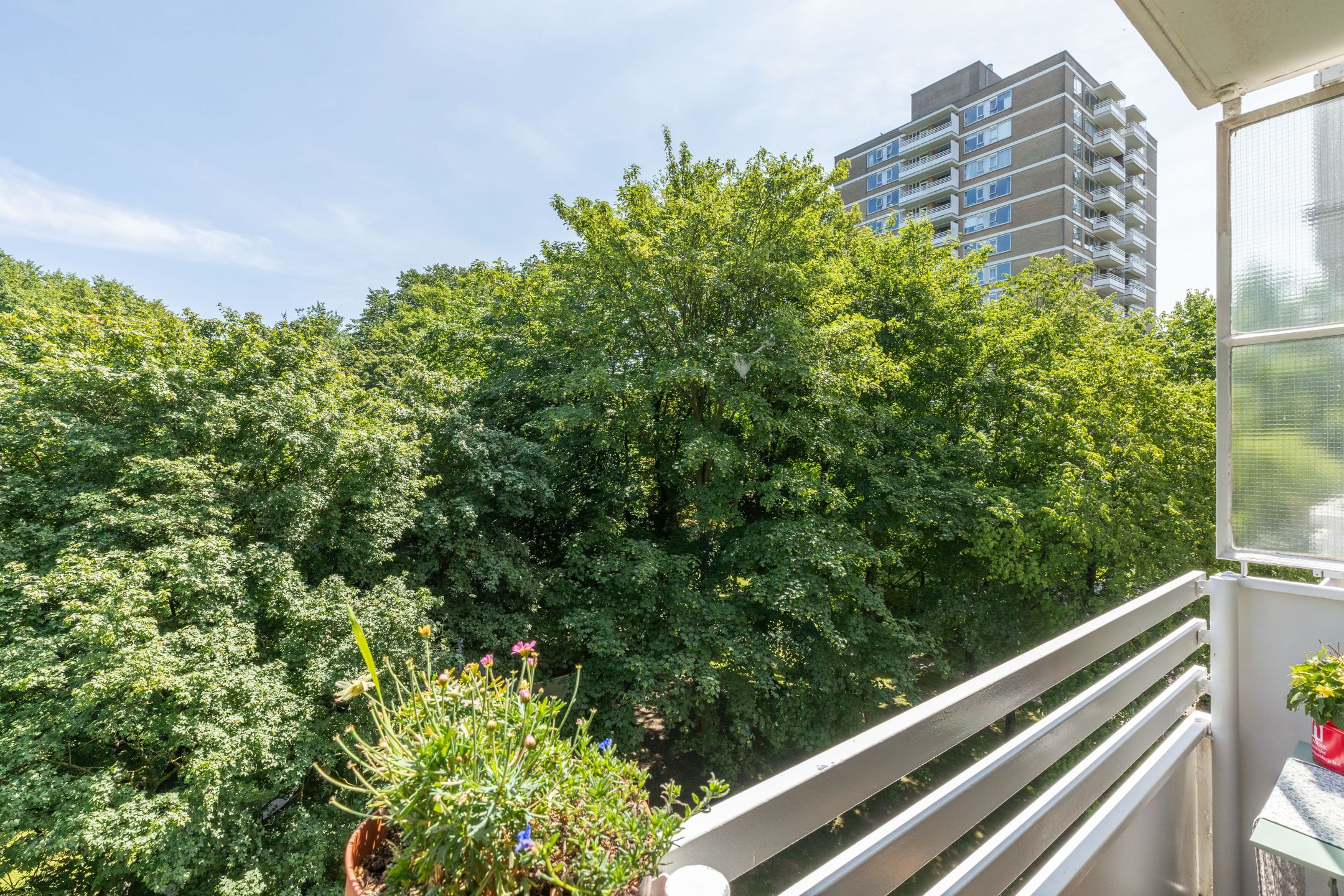 Foto 3 van Nachtwachtlaan 252