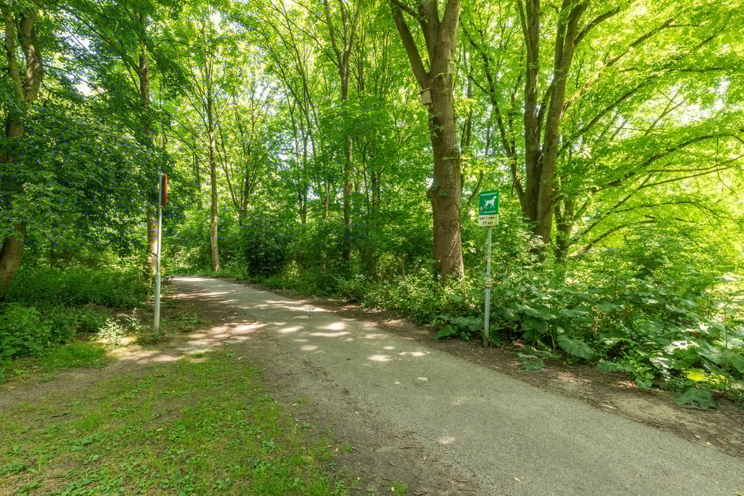 Foto 37 van Nachtwachtlaan 252