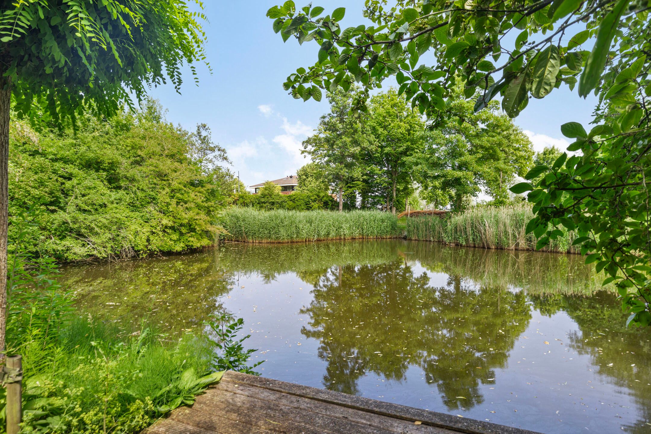 Foto 3 van Stadhouderslaan 12