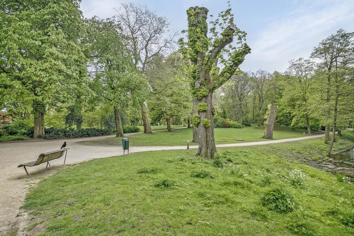 Foto 24 van Tuinbouwstraat 136