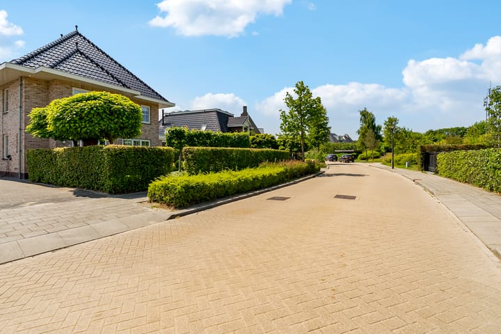 Foto 51 van Marquette 27