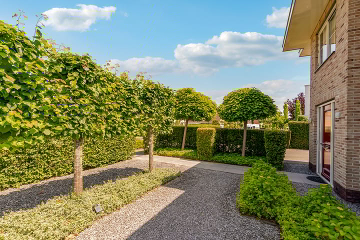 Foto 53 van Marquette 27