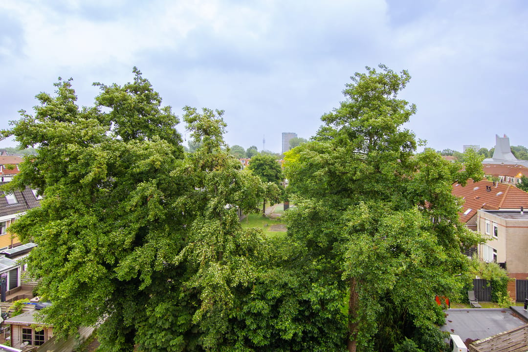 Photo 28 of Schoterweg 34-A
