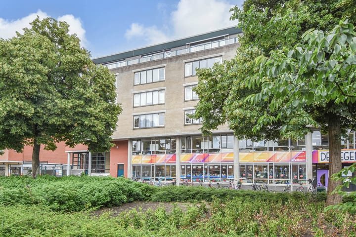 Foto 31 van Linnaeusstraat 37