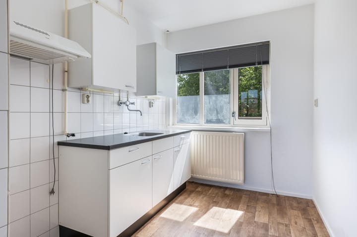 Foto 8 van Antilopespoor 412